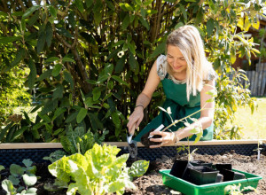 PARADAJZ vam ne raste? Ove biljke bi mogle biti pravi krivac za to - nikako ih ne sadite u njegovoj blizini!