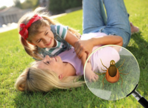 Ovo su jedini sigurni načini da izvadite KRPELJA: Ne verujte starim mitovima!