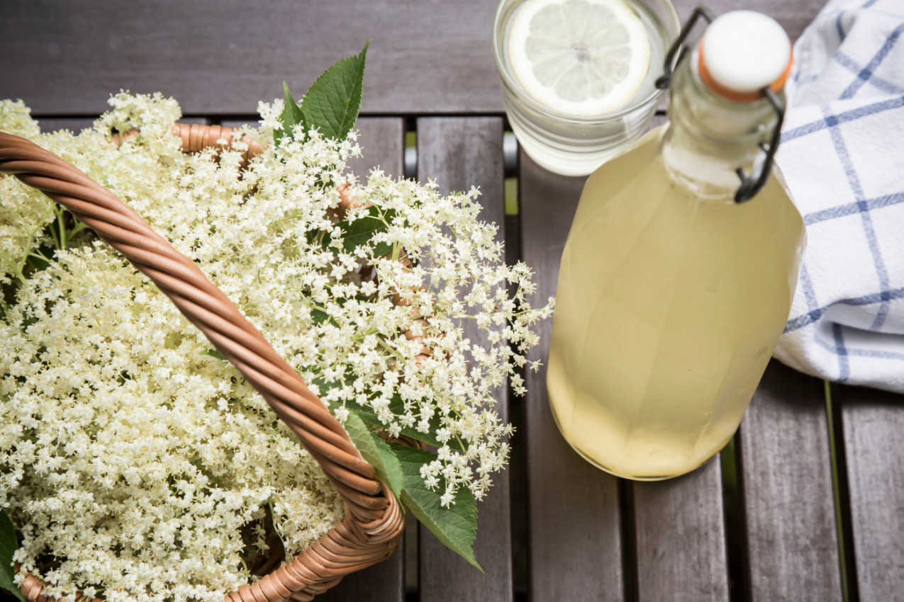 Svi ponovo prave bakin sok od zove: Recept koji osvaja mirisom i ukusom leta