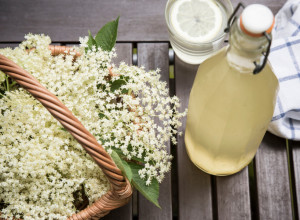 Svi ponovo prave bakin sok od zove: Recept koji osvaja mirisom i ukusom leta
