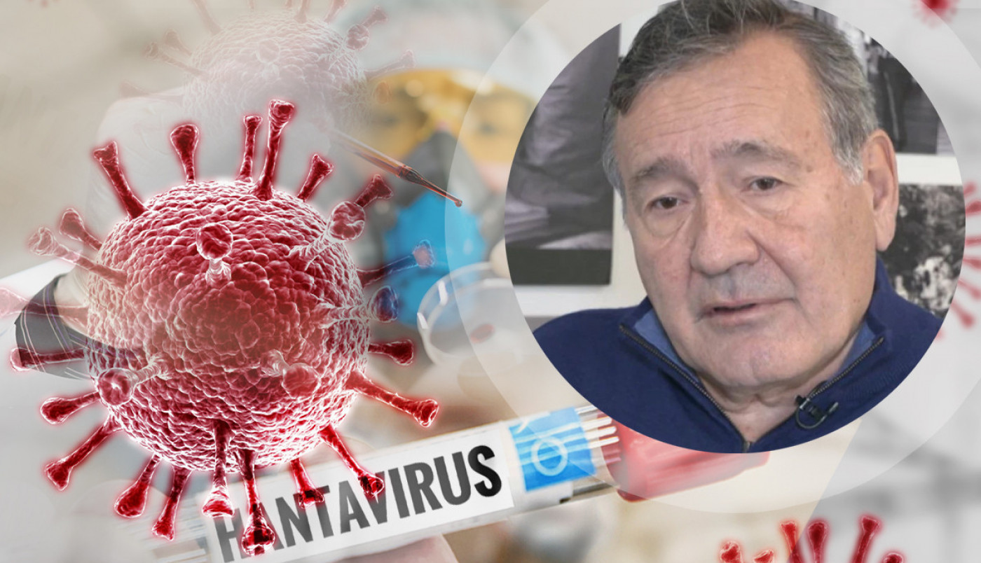 Prof. dr Nožić o HANTAVIRUSU u Srbiji: Infektolog otkriva koliko je zapravo opasan
