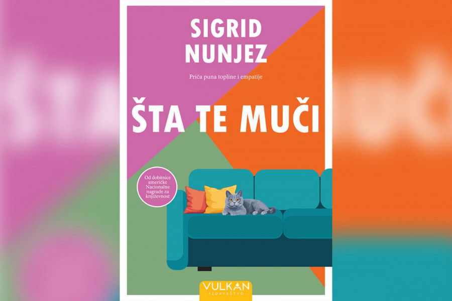 Sigrid Nunjez: Šta te muči