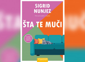 Sigrid Nunjez: Šta te muči