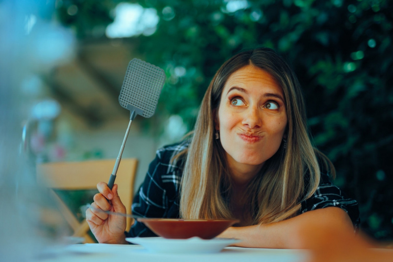 Da li treba BACITI HRANU ako je MUVA SLETELA na nju? Evo šta kažu stručnjaci - odgovor može da vam pokvari apetit