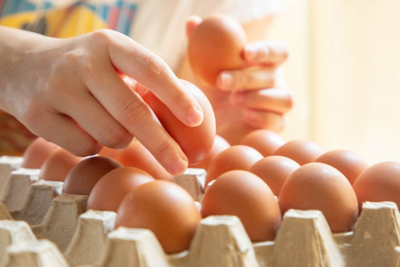 Kuvana, pržena ili sirova? Stručnjaci otkrivaju kako da iz JAJA dobijete najviše proteina