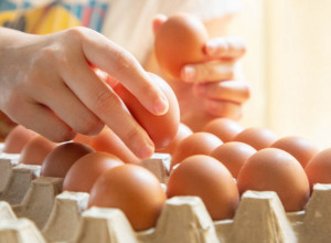 Kuvana, pržena ili sirova? Stručnjaci otkrivaju kako da iz JAJA dobijete najviše proteina