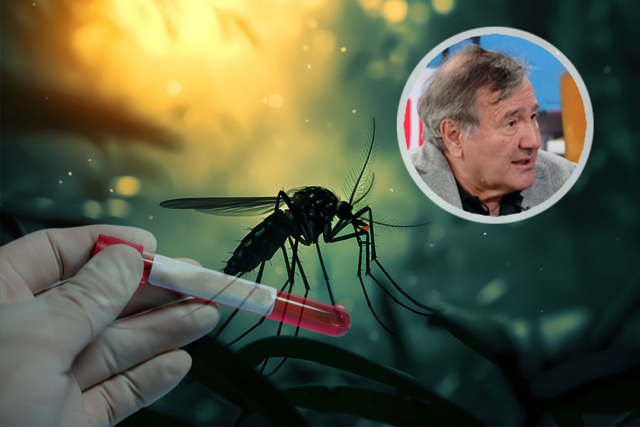 Prof. dr Nožić o VIRUSU ZAPADNOG NILA u Srbiji: Infektolog otkriva koliko je opasan i kakva je klinička slika kod TEŠKIH SLUČAJEVA
