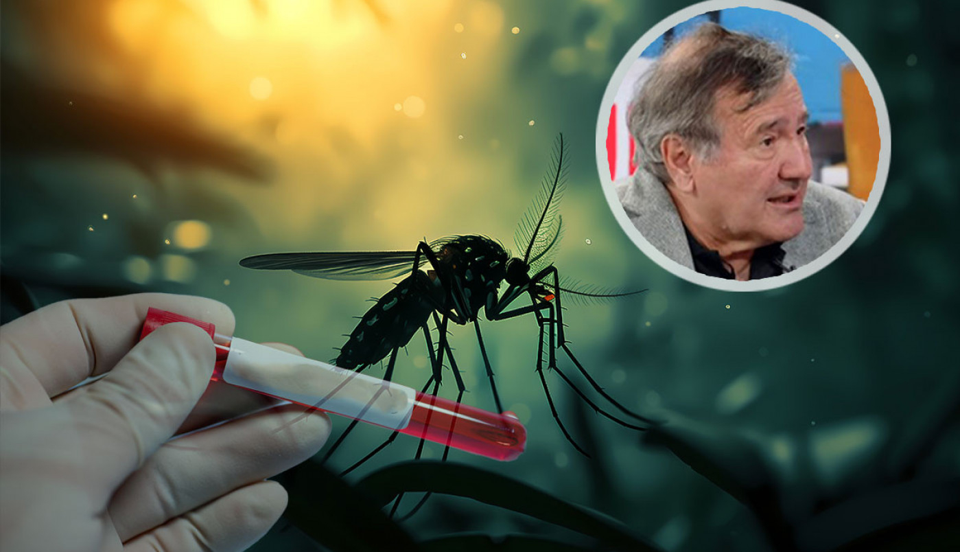 Prof. dr Nožić o VIRUSU ZAPADNOG NILA u Srbiji: Infektolog otkriva koliko je opasan i kakva je klinička slika kod TEŠKIH SLUČAJEVA
