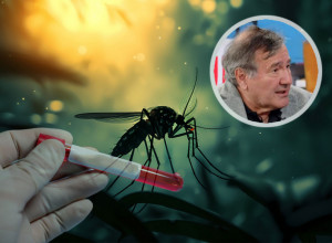 Prof. dr Nožić o VIRUSU ZAPADNOG NILA u Srbiji: Infektolog otkriva koliko je opasan i kakva je klinička slika kod TEŠKIH SLUČAJEVA