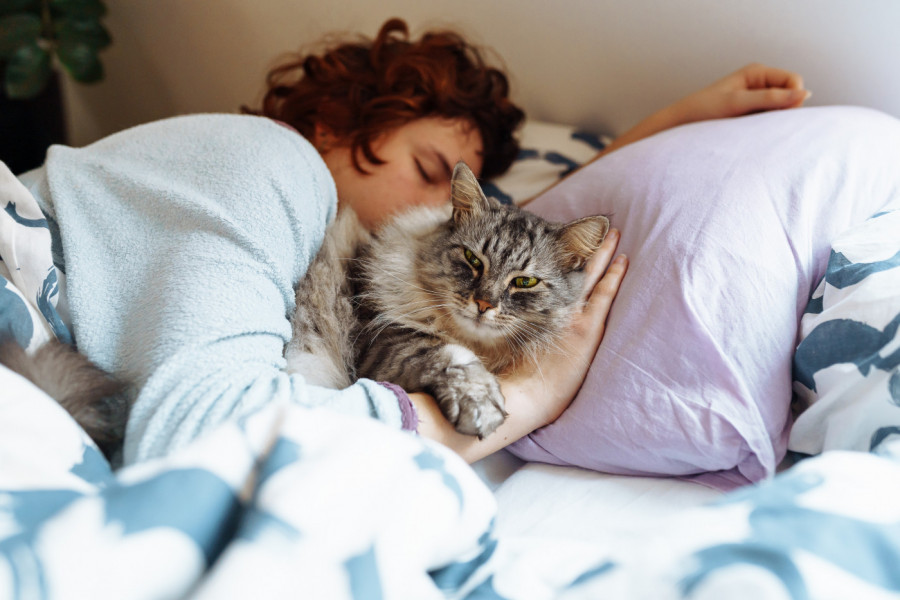 Vaša mačka svake noći spava u vašem krevetu? Veterinari objašnjavaju šta to znači i da li je dobro po vas
