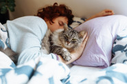 Vaša mačka svake noći spava u vašem krevetu? Veterinari objašnjavaju šta to znači i da li je dobro po vas