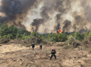 50 STEPENI, DIM I VATRA ISPOD NOGU: Ovako naši HEROJI VATROGASCI već nedeljama danonoćno ratuju sa požarima širom Srbije (FOTO)