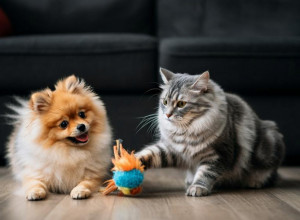 Veterinari UPOZORAVAJU vlasnike pasa i mačaka: Ove IGRAČKE mogu biti smrtonosne, a mnogi ih imaju u kući!