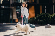 Koliko puta dnevno treba šetati psa? Veterinari otkrivaju šta je najbolje za ljubimca